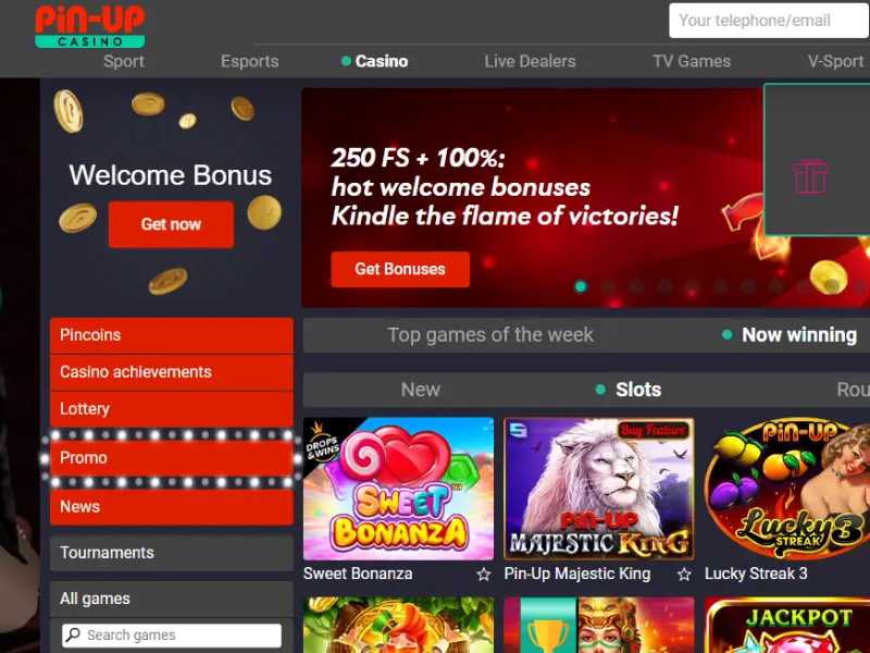 pin up casino reviews