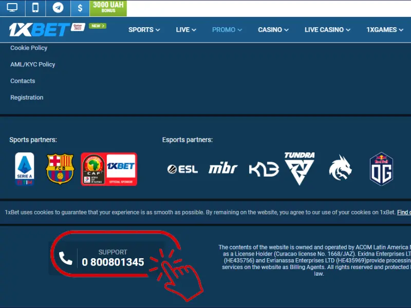 Support in 1xbet Casino